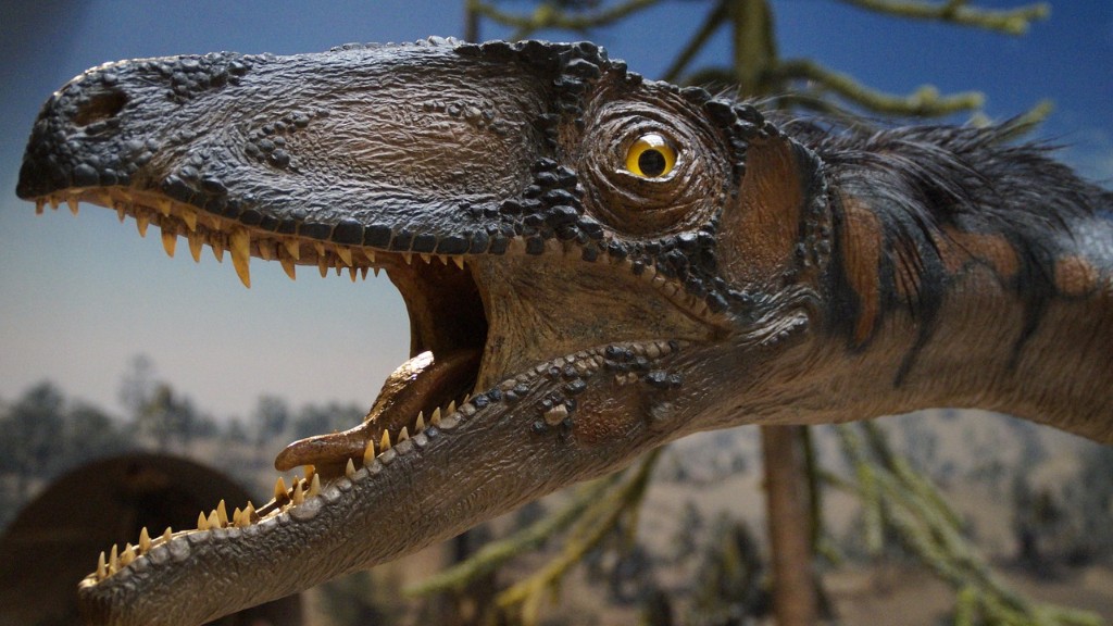 איך נראות עצמות דינוזאורים